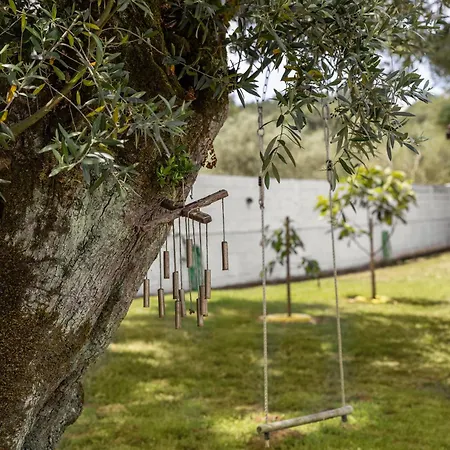 Casa Da Poesia Pedreiras (Leiria)